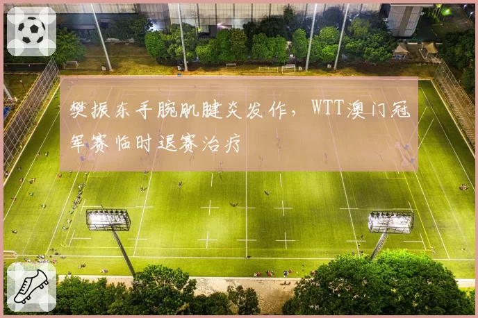 樊振东手腕肌腱炎发作,WTT澳门冠军赛临时退赛治疗