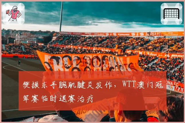 樊振东手腕肌腱炎发作,WTT澳门冠军赛临时退赛治疗